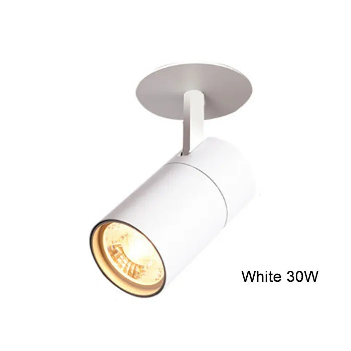 Black White LED Recessed Ceiling lights 7W 10W 20W 30W 3000K 4000K 6000K Led lamp light for Kitchen Shop Lamp Ceiling lamp