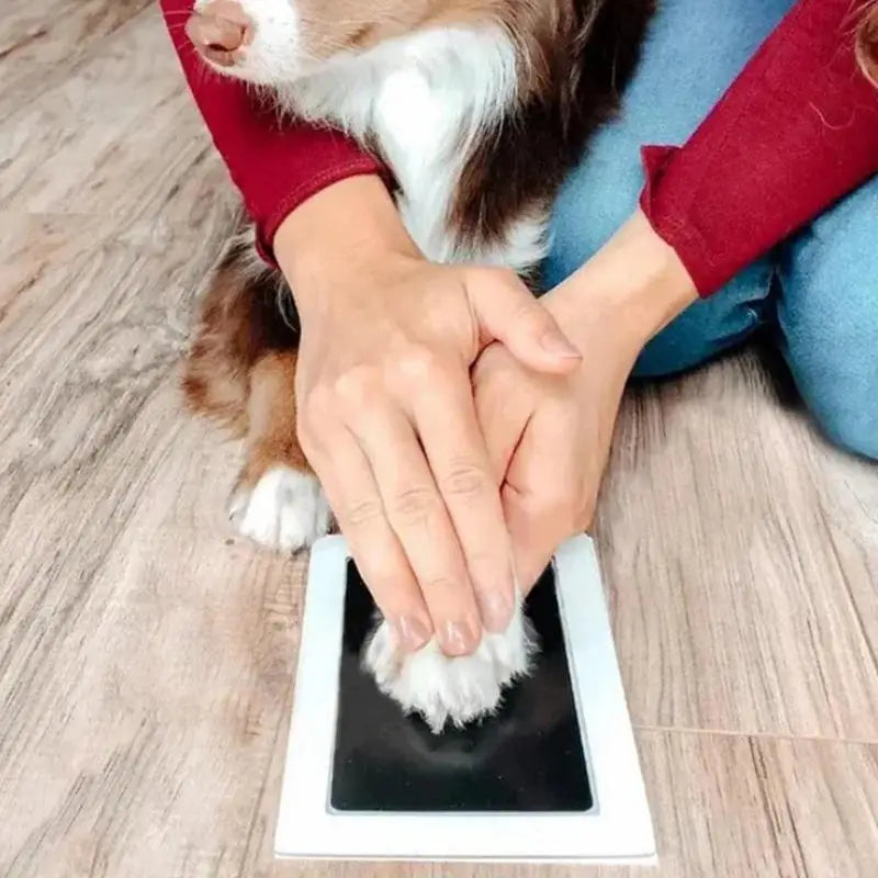 Cat Dog Paw Print Ink